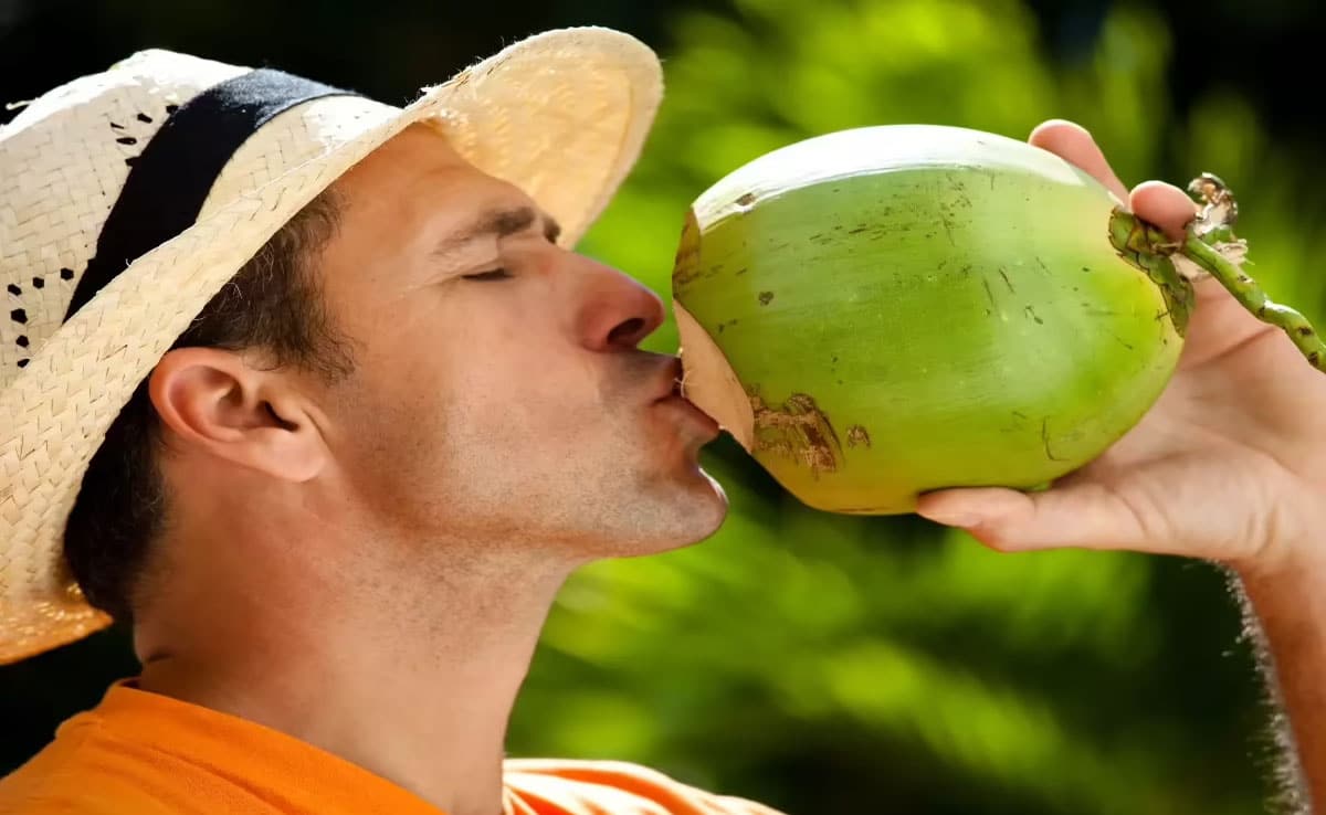 Should you avoid coconut water? Know the important things