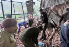Vaishno Devi landslide: 5 dead, 14 injured on Ardhkunwari road; many still feared trapped