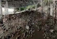 34 people died due to heavy rains in Jammu-Kashmir, Vaishno Devi Yatra affected due to landslide