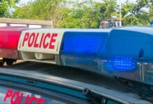 Double murder in Delhi: Mother and daughter brutally murdered in Sector 17 of Rohini