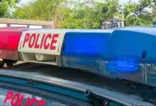 Double murder in Delhi: Mother and daughter brutally murdered in Sector 17 of Rohini