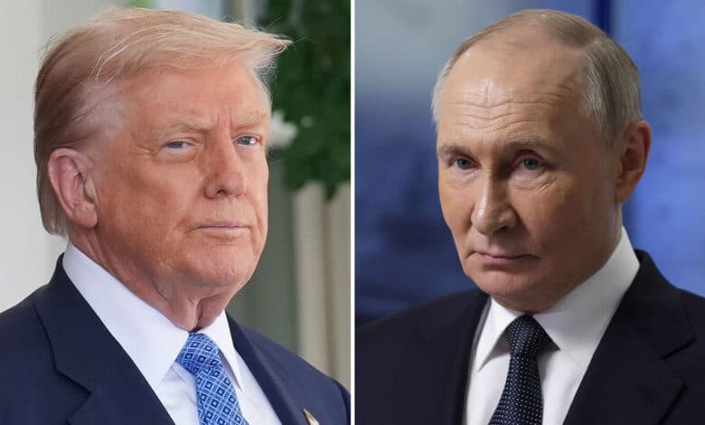 Trump peace plan: Will Russia and Ukraine swap land?