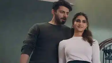 Aabeer Gulaal: Will the Fawad Khan and Vaani Kapoor starrer release in India? What did the government say?