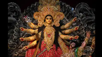 Shardiya Navratri 2025: 9 sacred offerings for the nine forms of Goddess Durga