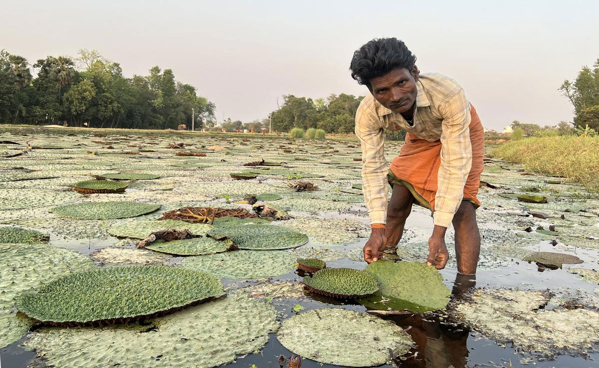 PM Modi will launch Makhana Board in Bihar today