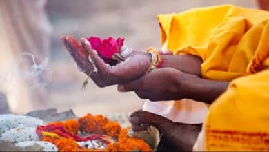 Pitru Paksha Navami Shradh 2025: Matri Navami date, significance and worship method