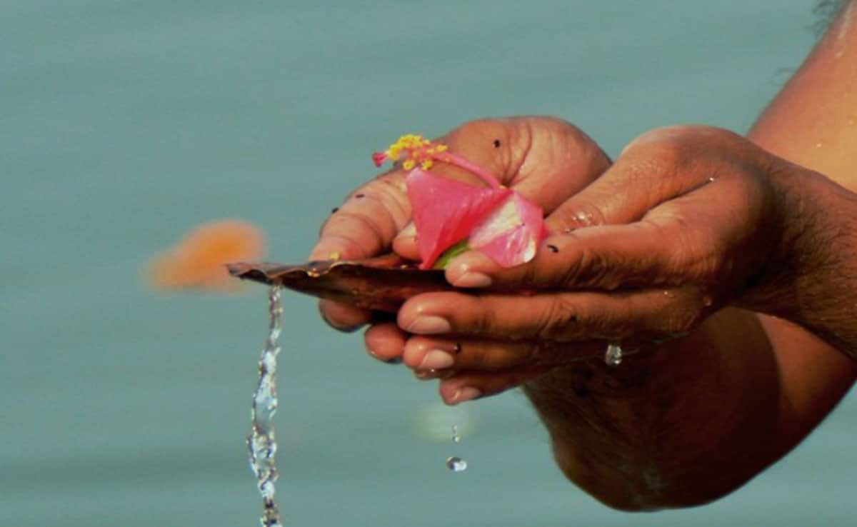 Pitru Paksha Navami Shradh 2025: Matri Navami date, significance and worship method