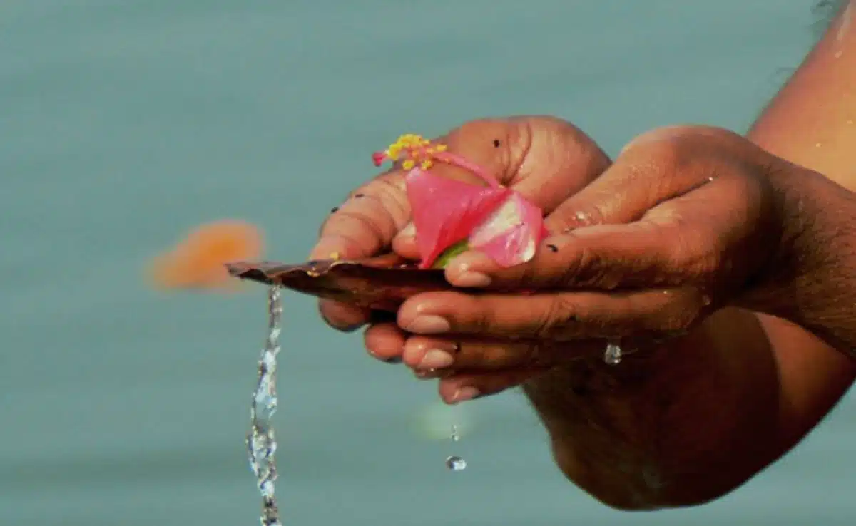 Pitru Paksha Navami Shradh 2025: Matri Navami date, significance and worship method