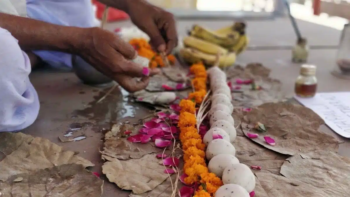 Pitru Paksha Navami Shradh 2025: Matri Navami date, significance and worship method