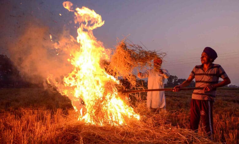 12 FIRs filed against farmers in Punjab for stubble burning, 48 fires in 5 days