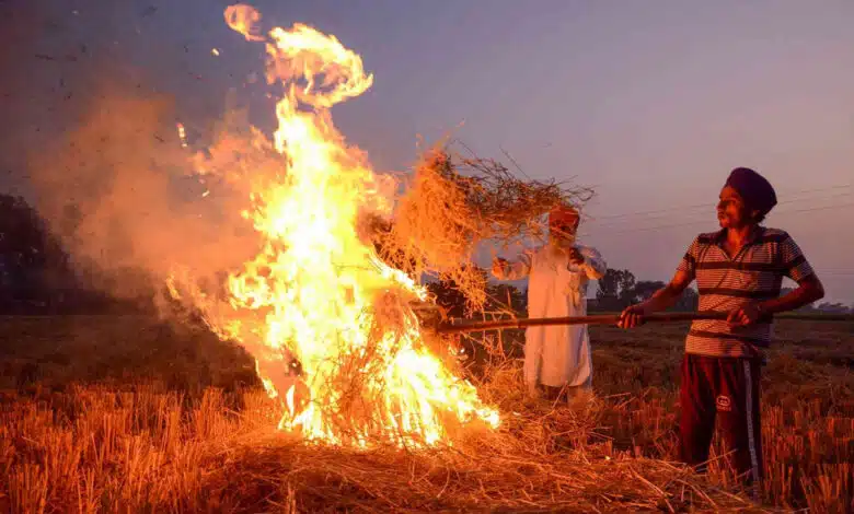 12 FIRs filed against farmers in Punjab for stubble burning, 48 fires in 5 days