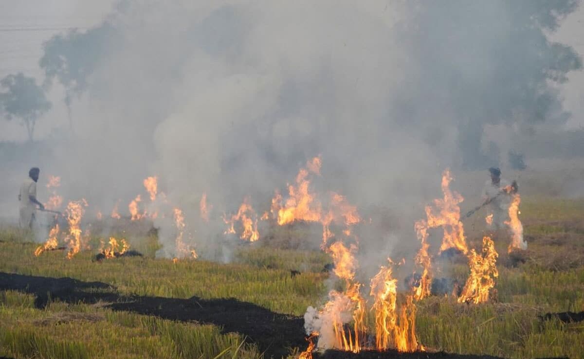 12 FIRs filed against farmers in Punjab for stubble burning, 48 fires in 5 days