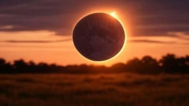 Surya Grahan 2025: Astrologers predict that these zodiac signs will benefit greatly.