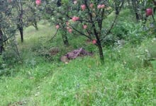 One terrorist killed, one army soldier injured in an encounter with security forces in Kulgam, Jammu and Kashmir