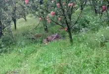 One terrorist killed, one army soldier injured in an encounter with security forces in Kulgam, Jammu and Kashmir