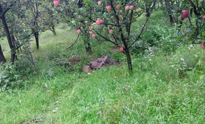 One terrorist killed, one army soldier injured in an encounter with security forces in Kulgam, Jammu and Kashmir