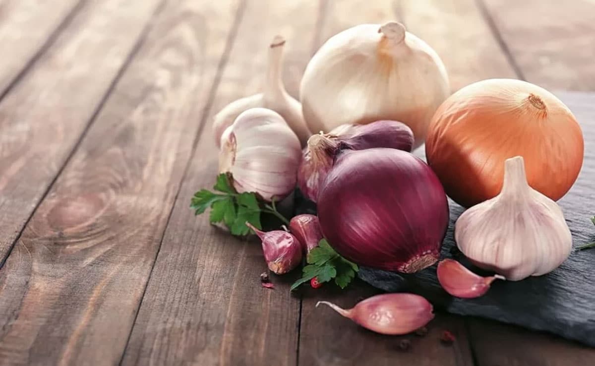 Why are onions and garlic not consumed during Navratri?