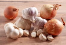 Why are onions and garlic not consumed during Navratri?