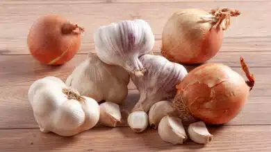 Why are onions and garlic not consumed during Navratri?
