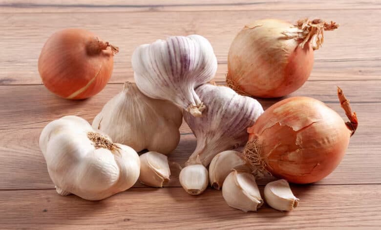 Why are onions and garlic not consumed during Navratri?