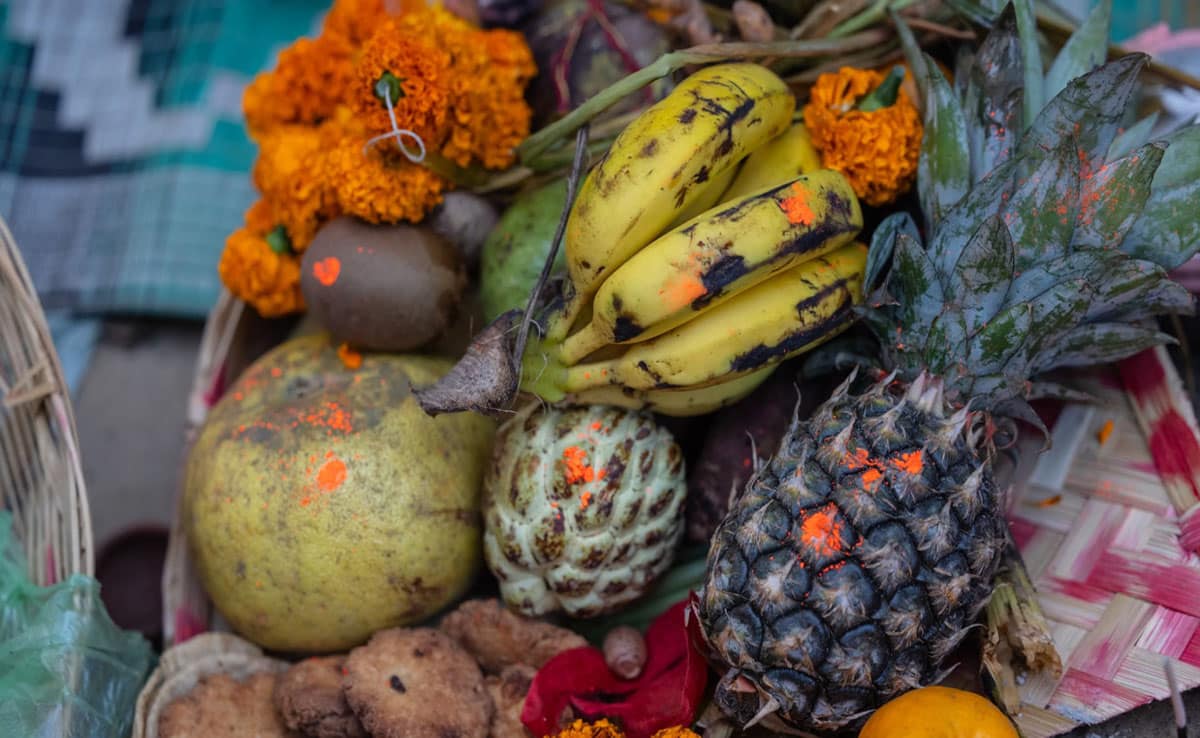 Chhath Puja 2025 begins tomorrow: Know the auspicious time, rituals, and significance