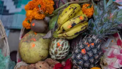 Chhath Puja 2025: How to prepare, what things are required for the puja?