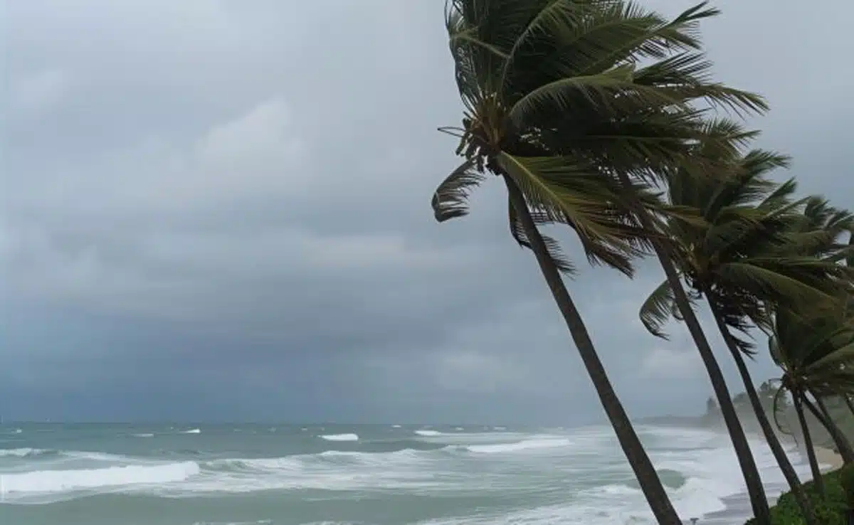 Cyclone Mahina weakened into a deep depression after hitting the Andhra coast.