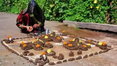 Govardhan Puja 2025: List of items required for worship and offerings