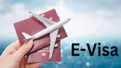 India will provide free e-visa to Mongolia, capacity building program for border security forces also started