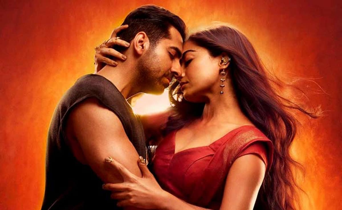 Thamma Box Office Collection Day 3: Rashmika Mandanna and Ayushmann Khurrana's film earns over Rs 50 crore