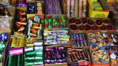 SC allows sale and use of green crackers in Delhi-NCR on Diwali with conditions