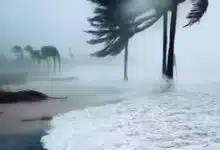 Cyclone Ditwah: 56 people killed in Sri Lanka floods; alert issued in Tamil Nadu and Andhra Pradesh