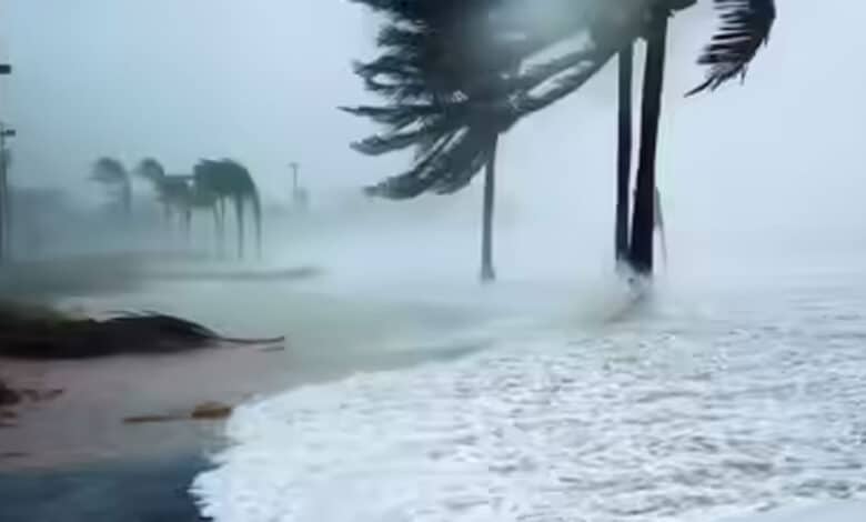 Cyclone Ditwah: 56 people killed in Sri Lanka floods; alert issued in Tamil Nadu and Andhra Pradesh