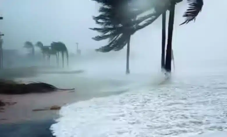 Cyclone Ditwah: 56 people killed in Sri Lanka floods; alert issued in Tamil Nadu and Andhra Pradesh