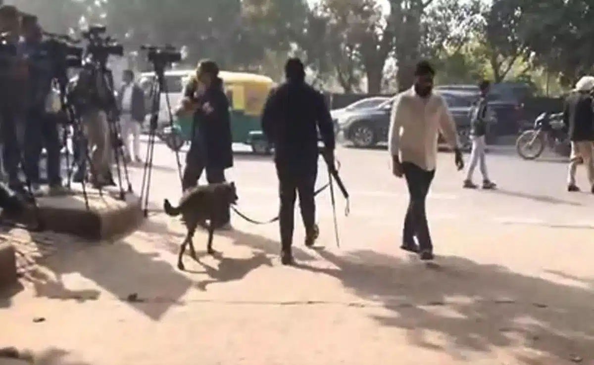 Delhi courts and schools evacuated after bomb threats