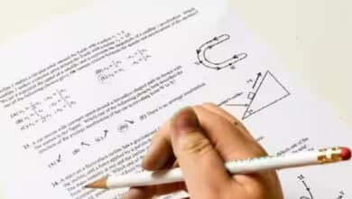 IBPS RRB Preliminary Exam 2025: Admit Card Released, Download Here