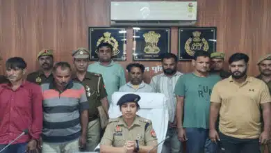 Law tightens its grip in Sambhal: Cattle thieves arrested, weapons and cattle recovered