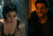 Thamma Box Office Collection Day 14: The film sees a huge drop on its second Monday