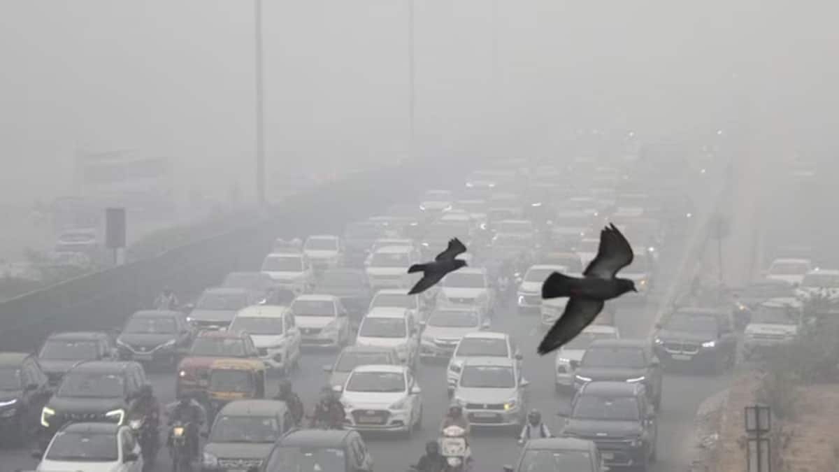 Pollution crisis deepens in Delhi-NCR, hybrid education system now implemented in schools