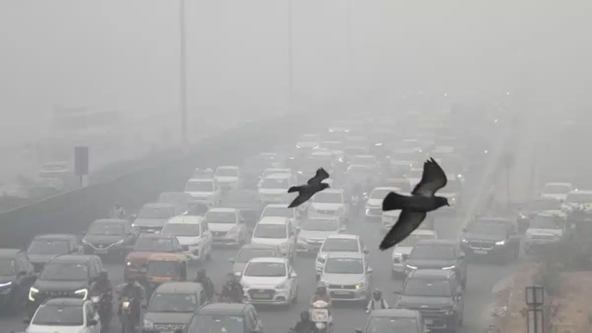 Pollution crisis deepens in Delhi-NCR, hybrid education system now implemented in schools