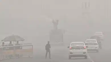 'Delhi is gasping for breath': Priyanka Gandhi expresses concern over pollution, demands action from Centre and state