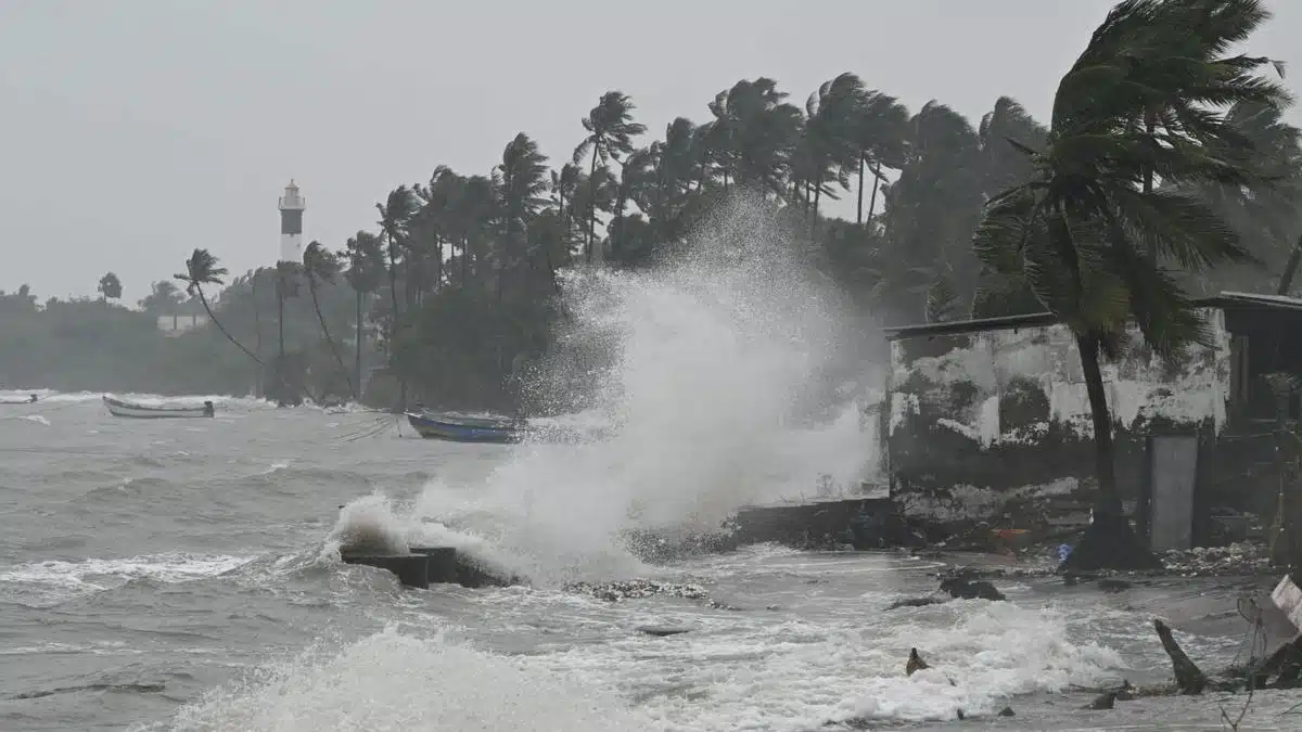 Heavy rain expected in Tamil Nadu till November 11, schools closed in Tirupattur amid weather alert