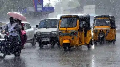 Heavy rain expected in Tamil Nadu till November 11, schools closed in Tirupattur amid weather alert