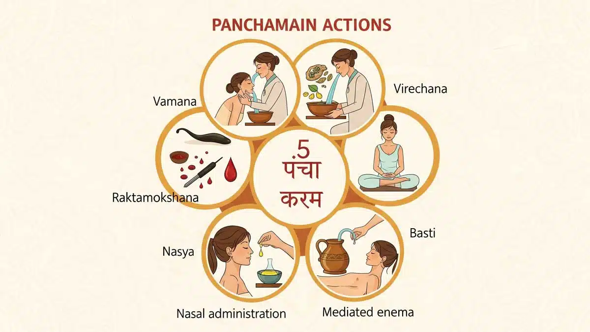 Ayurveda, India's Ancient Medical Tradition and Its Importance in the Modern Age