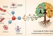 What is Nitric Oxide and why does Ayurveda value it?