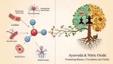 What is Nitric Oxide and why does Ayurveda value it?