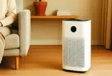 The central government opposed a reduction in GST on air purifiers in the Delhi High Court.