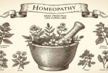 Homeopathy History, Principles, Benefits and Myths