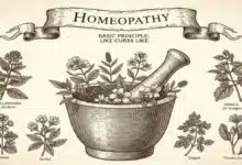 Homeopathy History, Principles, Benefits and Myths