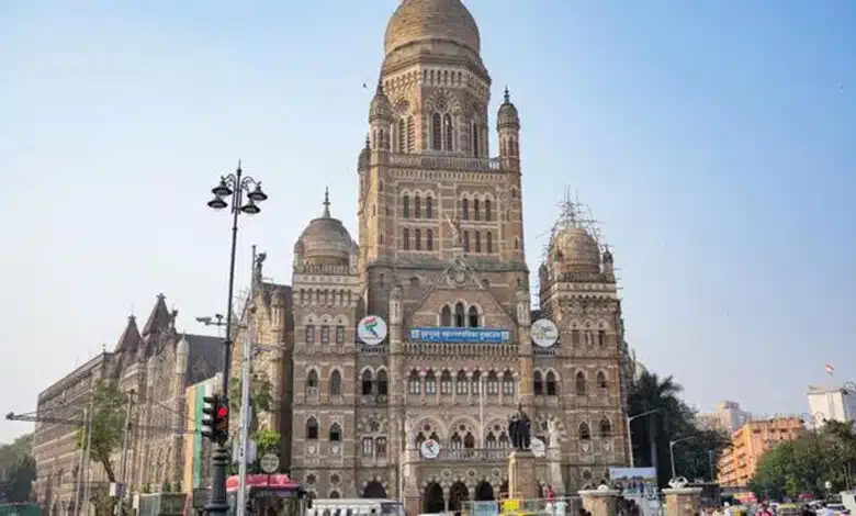 BMC Elections announced: See the voting date and results schedule.